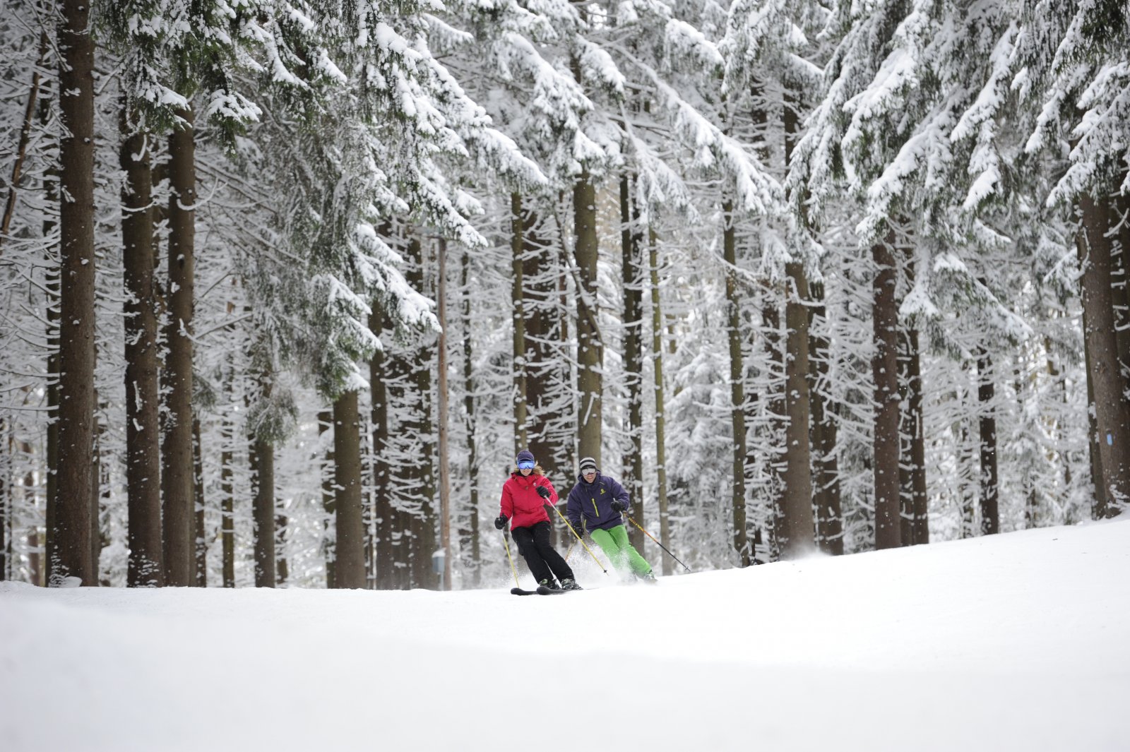 Holiday Valley Resort Visit Western NY The Chautauqua Allegheny   HV 022213CM 1351.JPG